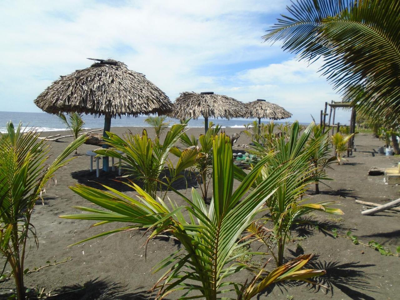 Marbella Eco Lodge Monterrico Esterno foto